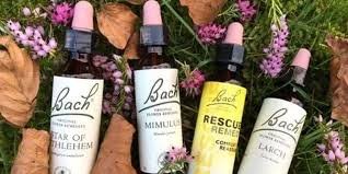 BACH ÇİÇEKLERİ EĞİTİMİ